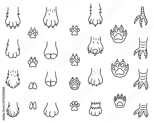 A set of various animal paw prints in doodle style. Hand-drawn paw prints. Vector illustration.