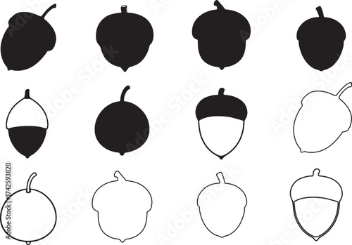 Collection of hand drawn acorn silhouettes and outlines in various styles on white background