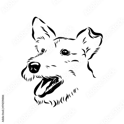 welsh terrier, dog breed, vector sketch