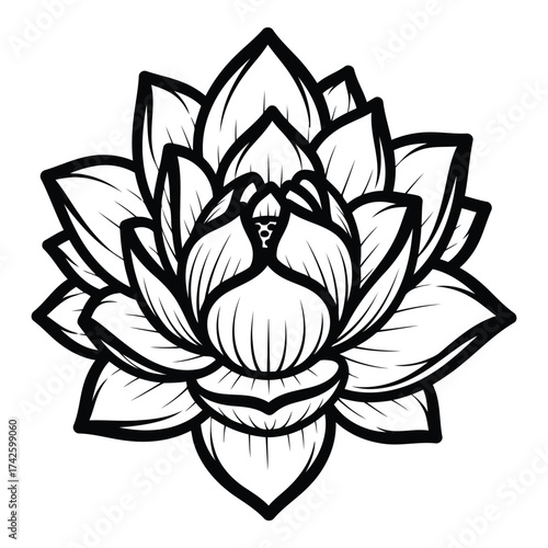 Vector art of lotus flower drawing