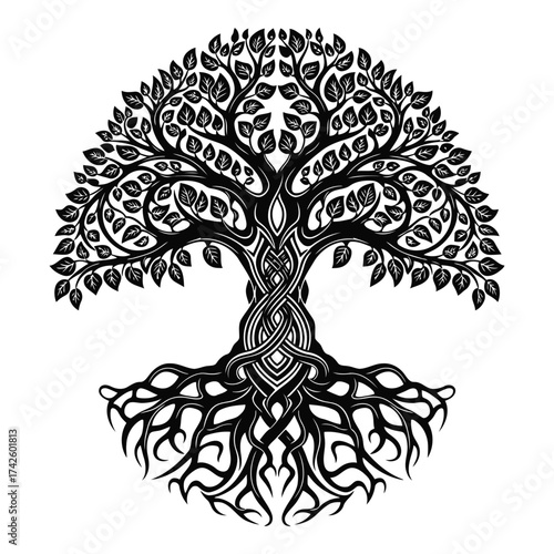 Vector art of celtic tree of life