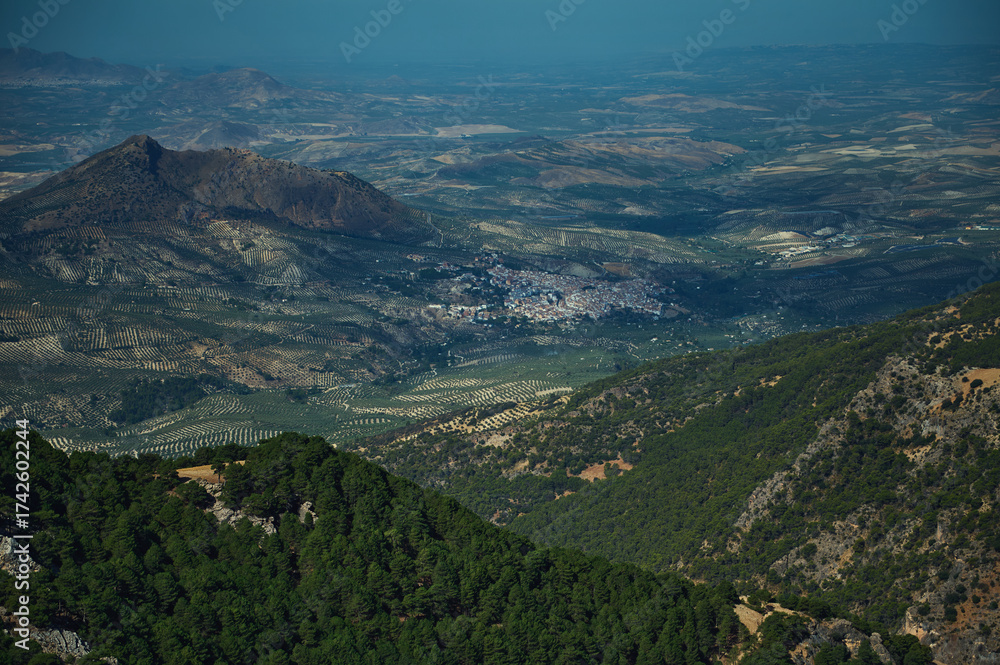 Naklejka premium Vast landscape of olive groves on terraced hills with a small village in the valley, showcasing rural life and expansive mountain scenery under clear skies.