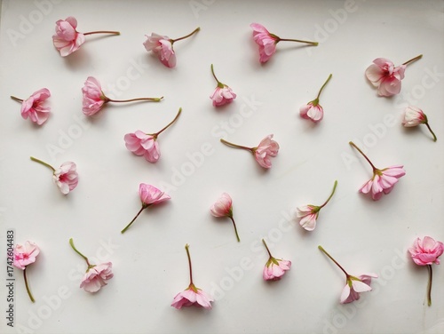 delicate romantic pattern of pink fresh flowers. Wallpaper, background