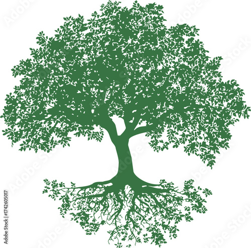 Tree silhouette vector, detailed leafy branches and visible roots, isolated on white — stock vector