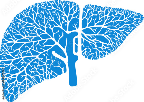 Lungs vector stylized with branching bronchi and blue silhouette — stock vector