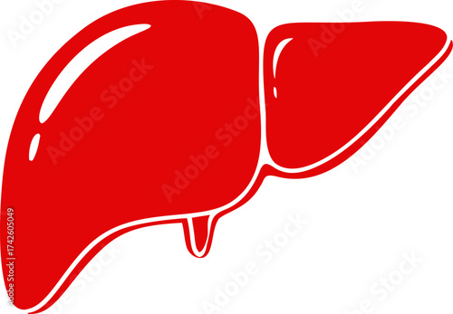 Liver vector simple red silhouette, isolated organ illustration — stock vector