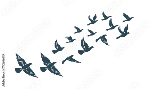 Flying Pigeons Silhouette Set – Multiple Flight Poses, Minimal Flat Vector, easily editable