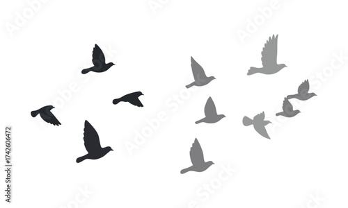 Flying Pigeons Silhouette Set – Multiple Flight Poses, Minimal Flat Vector, easily editable