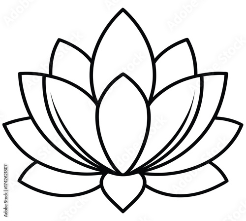 Vector illustration of a pink lotus flower with a leaf isolated on a white background, perfect for nature and floral design projects