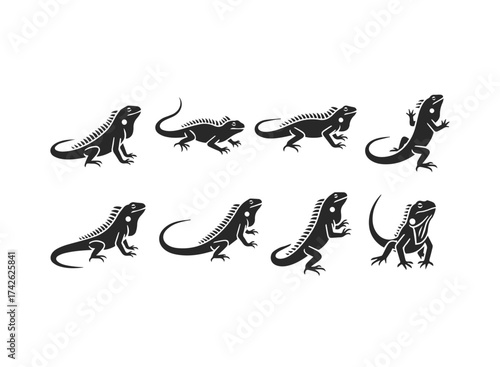 Set of Stylized Iguana Silhouettes in Various Poses.