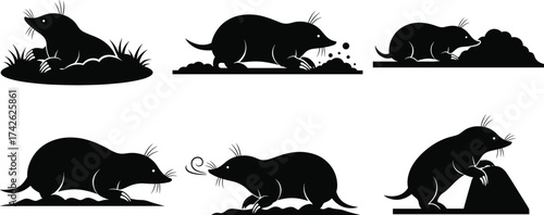 Black Mole Silhouettes in Various Natural Poses Including Digging, Walking, Sniffing, and Emerging from Dirt for Wildlife and Nature Themes