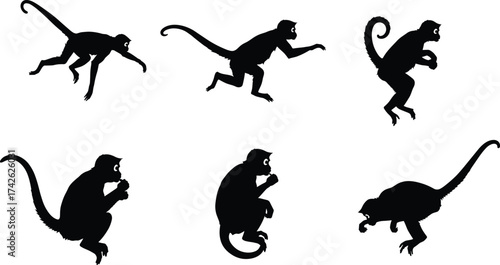 Monkey Silhouette Vector Set Featuring Walking, Running, Jumping, Sitting, Eating, and Crouching Poses for Jungle Wildlife and Nature Themes