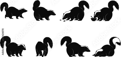 Skunk silhouette vector set in various poses and actions, black and white animal illustrations for wildlife, nature, and behavior themes