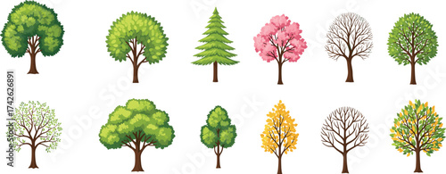 Seasonal tree illustration set, diverse foliage and species artwork, nature and botanical concept for education, design, and ecology