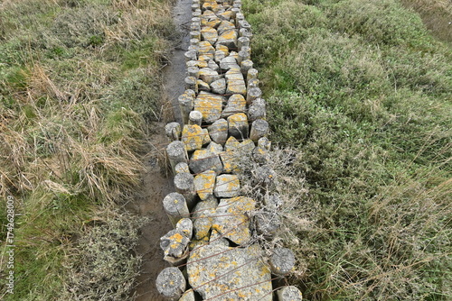 Lahnung an der Nordsee zum Küstenschutz