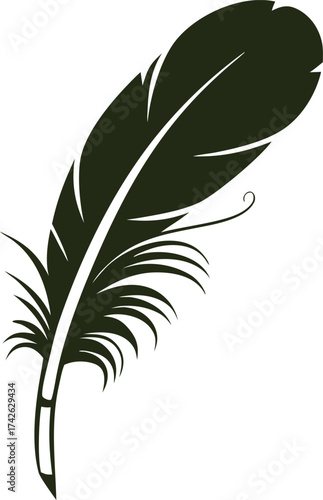Ethereal Silhouette of a Feather: A solitary feather, elegantly rendered in a stark silhouette, its intricate details and delicate curves speak of flight, freedom, and the beauty of nature.