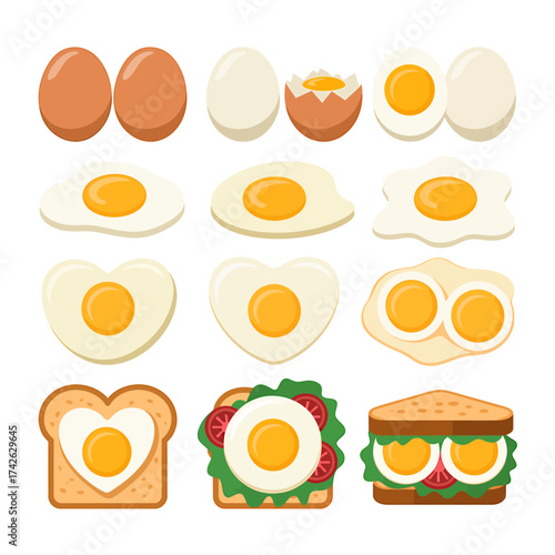 Variety of Eggs and Egg Dishes Flat Vector Illustration for Food Blog or Recipe Website Cooking Preparation