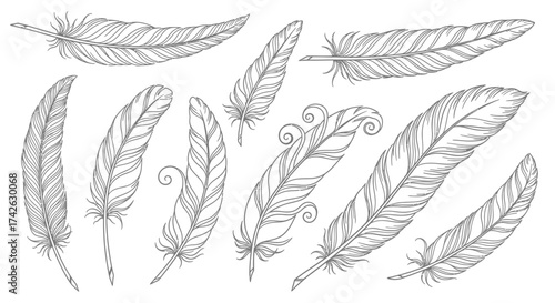 A black silhouette of pruning shears, a gardening tool, isolated on white.