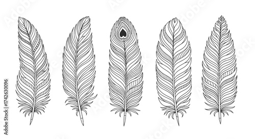 A black silhouette of pruning shears, a gardening tool, isolated on white.