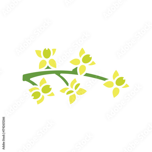 olive inflorescence color flat icon.