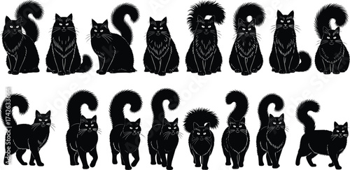 Black cat silhouettes, fluffy tails, walking poses, sitting cats, stylized vector, cartoon feline, animal clipart, pet illustration, tail variations