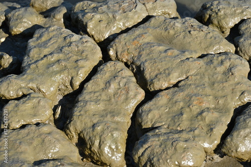 Schlick in norddeutschen Wattenmeer