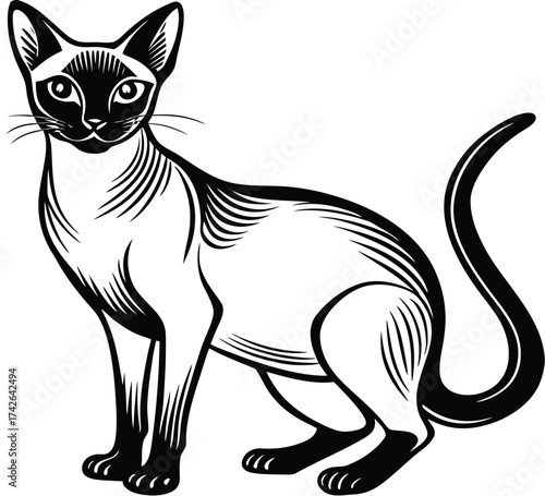 Black and white vector illustration of a cute domestic cat or kitten silhouette