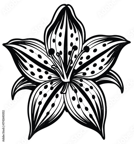 A detailed black and white outline illustration of a tiger lily flower, showcasing its distinctive spotted petals and intricate floral structure, perfect for various design and artistic applications