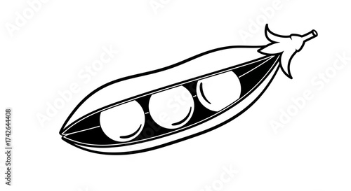 Black and white illustration of a pea pod with three peas isolated on white background
