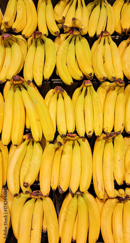 Fresh ripe bananas arranged in rows at a market