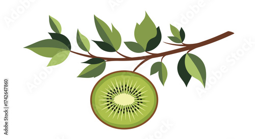 A sliced kiwi fruit hanging from a branch with green leaves.