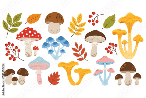 Illustration of various mushrooms, leaves, and berries isolated on white background, showcasing the diversity of autumn flora and fungi in a colorful display vector illustration