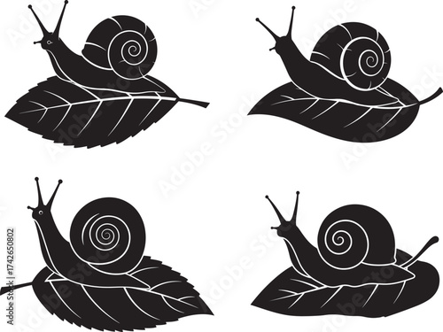 Four detailed black snail silhouettes on leaves