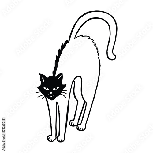 Black and white illustration of a cat with arched back