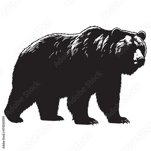 Black silhouette of a walking grizzly bear Keywords: bear, grizzly bear, silhouette, animal