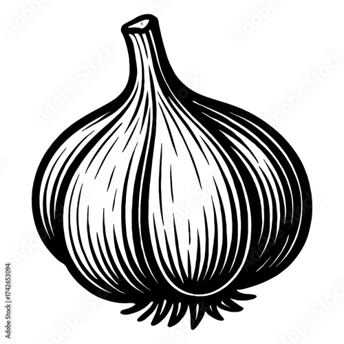 A black and white drawing of a garlic bulb. The bulb is the main focus of the image, and it is surrounded by a stem. Vector. Silhouette illustration.