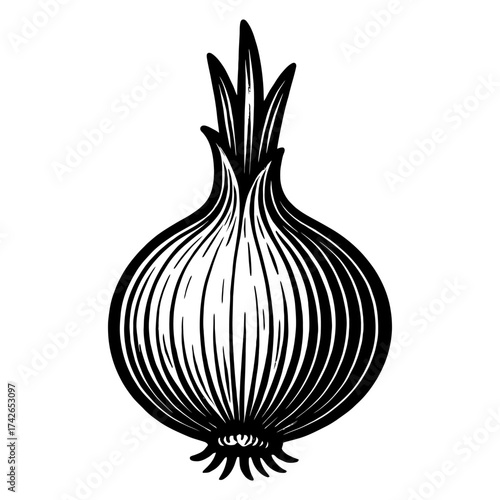 A black and white drawing of a large onion. The onion is the main focus of the image. The drawing has a simple. Vector. Silhouette illustration.