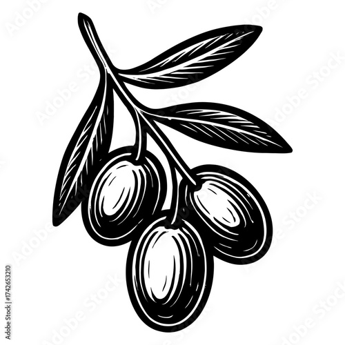 The image is a black and white drawing of an olive tree with three olives hanging from it. The tree is leafy. Vector. Silhouette illustration.