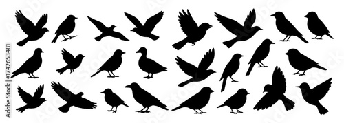 A row of black birds with wings spread out. The birds are in various positions and sizes, but they all have the same basic shape. Vector silhouette.