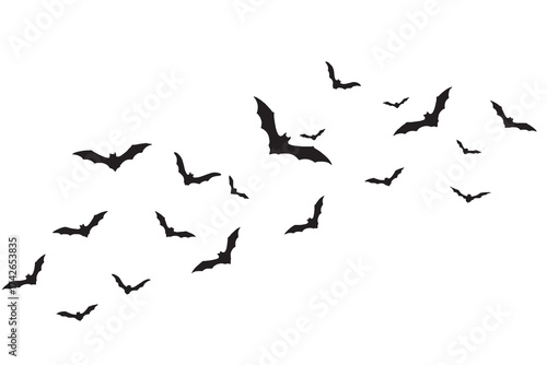 Flock of silhouetted bats flying in formation against white background