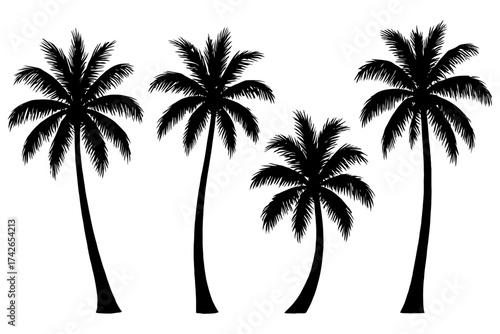 Four palm trees are shown in black and white. The trees are all the same size and are positioned in a row. Vector. Silhouette illustration.