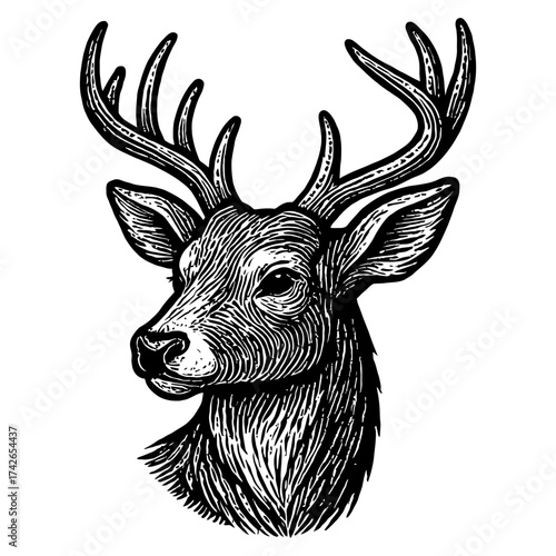 A black and white drawing of a deer head with antlers. The deer is depicted as being in a relaxed and peaceful state. Vector. Silhouette illustration.