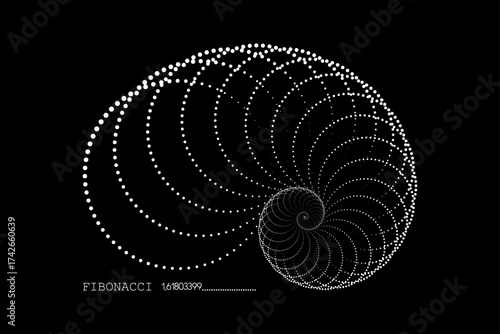 Fibonacci Sequence Spiral. Golden ratio. Geometric shapes Circles dots in golden proportion.  Minimalist snail shell form, Nautilus shell logo design. Vector icon isolated on black background