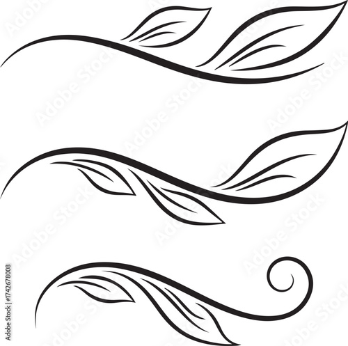 Elegant black and white floral and leaf decorative flourishes vine swirl