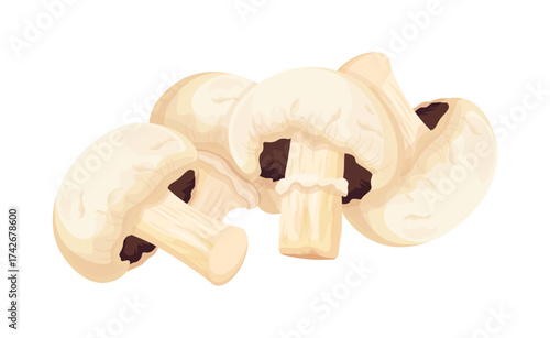 Bunch of edible champignons in cartoon style. Vector illustration of healthy and fresh whole champignon mushrooms isolated on white background.