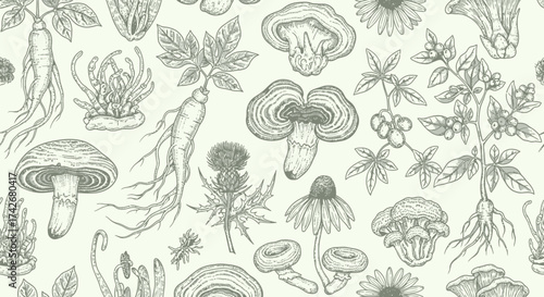 A vintage seamless pattern featuring hand-drawn medicinal mushrooms and adaptogenic herbs like ginseng and reishi in an engraved style