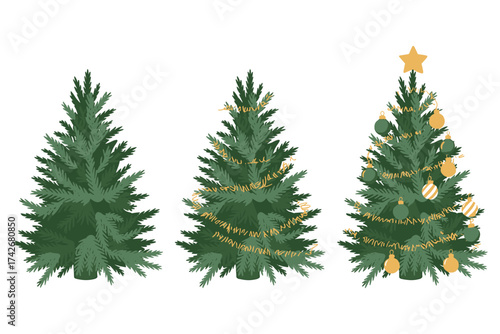 Three christmas trees displaying different levels of festive decoration and growth isolated on white background