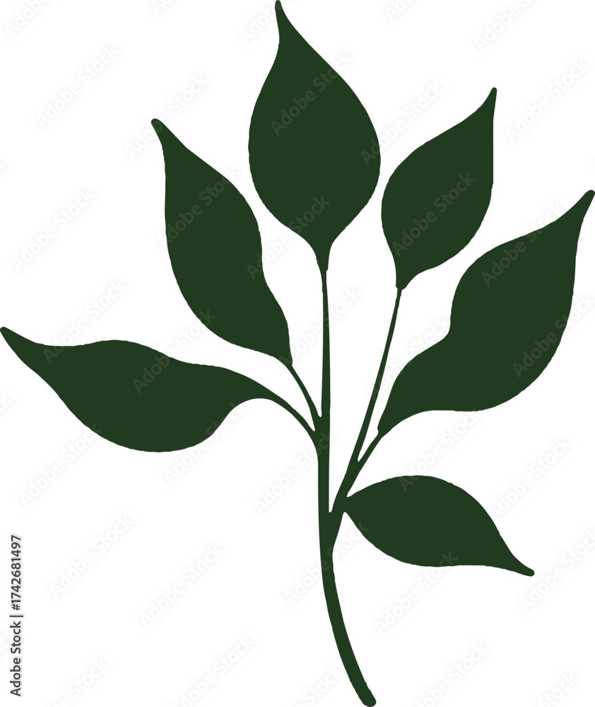 Obraz premium green leaves isolated on white
