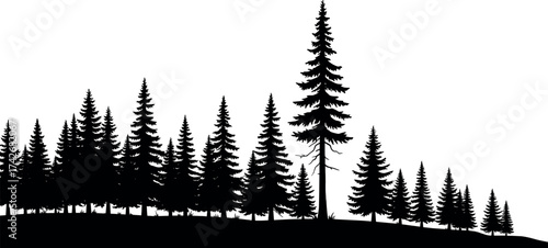 Forest silhouette landscape, black and white pine tree illustration, conifer woodland vector, scenic nature design, tranquil outdoor graphic for decor and art