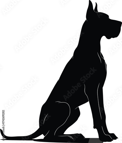 Silhouette, dog, sitting, muscular, Great Dane, black, white background, pet, animal, posture, strong, elegant, canine, alert, breed, powerful, tail, ears, upright, majestic